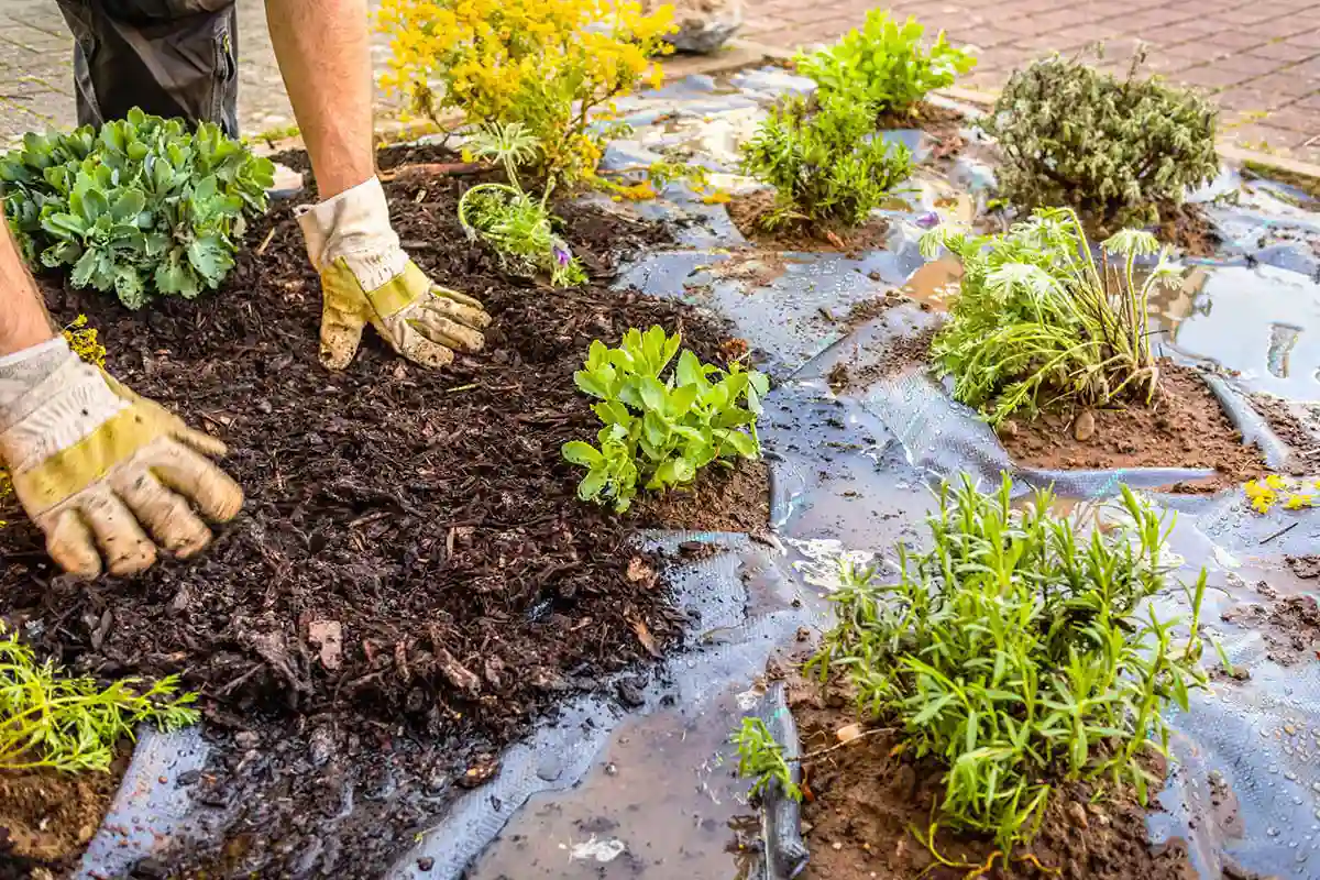 Affordable Landscaping Services