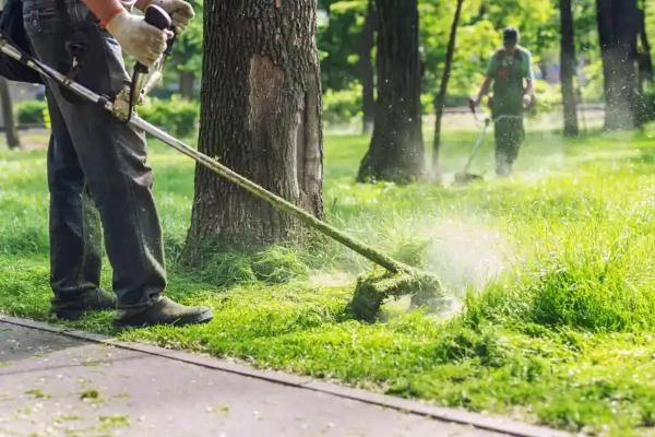 Lawn Care Lawn Care